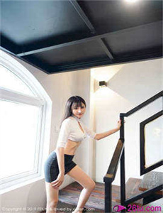 泷泽萝拉种